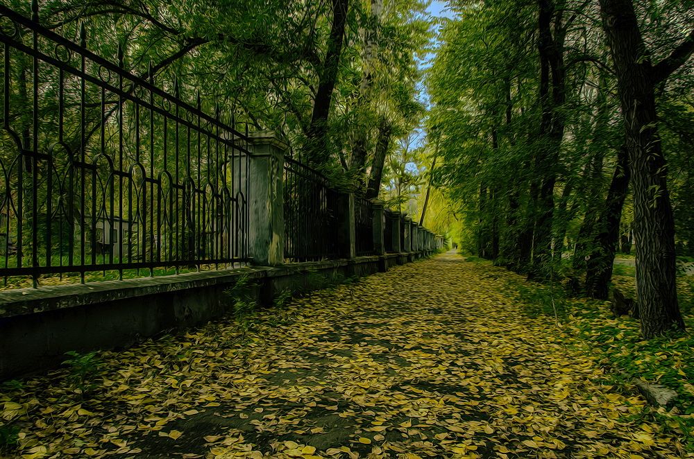 Photograph by Даниил Марков