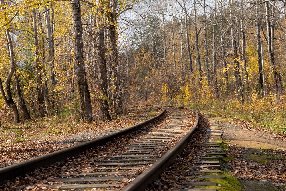 Photograph by Николай Писецкий