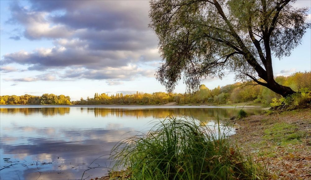 Photograph by Олег Григорьев