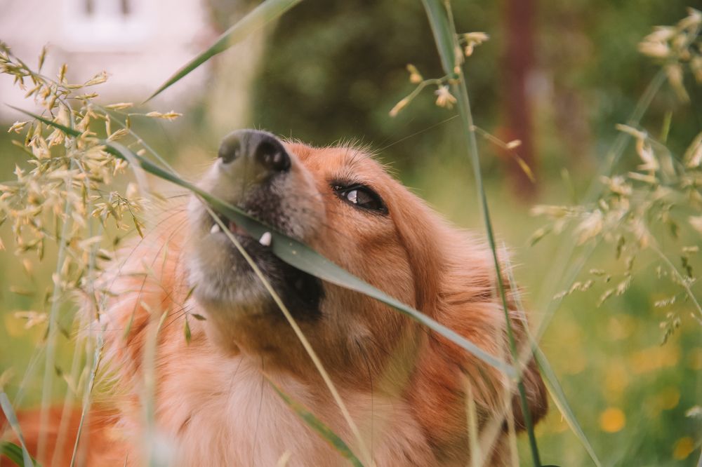 Photograph by Валерия Гуртовая