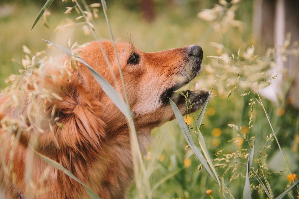 Photograph by Валерия Гуртовая
