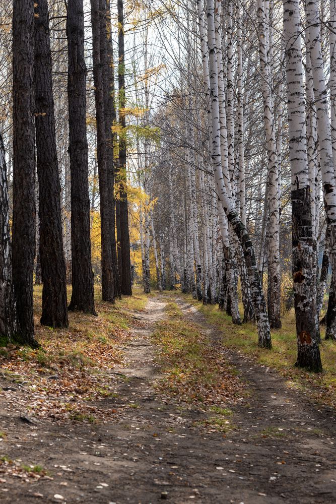 Photograph by Николай Писецкий