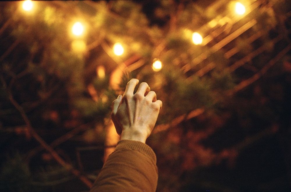 Photograph by Анастасия Федосеева