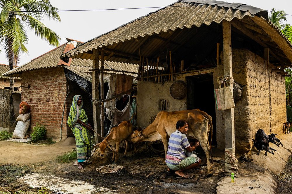 A Glimpse of Traditional Rural Life