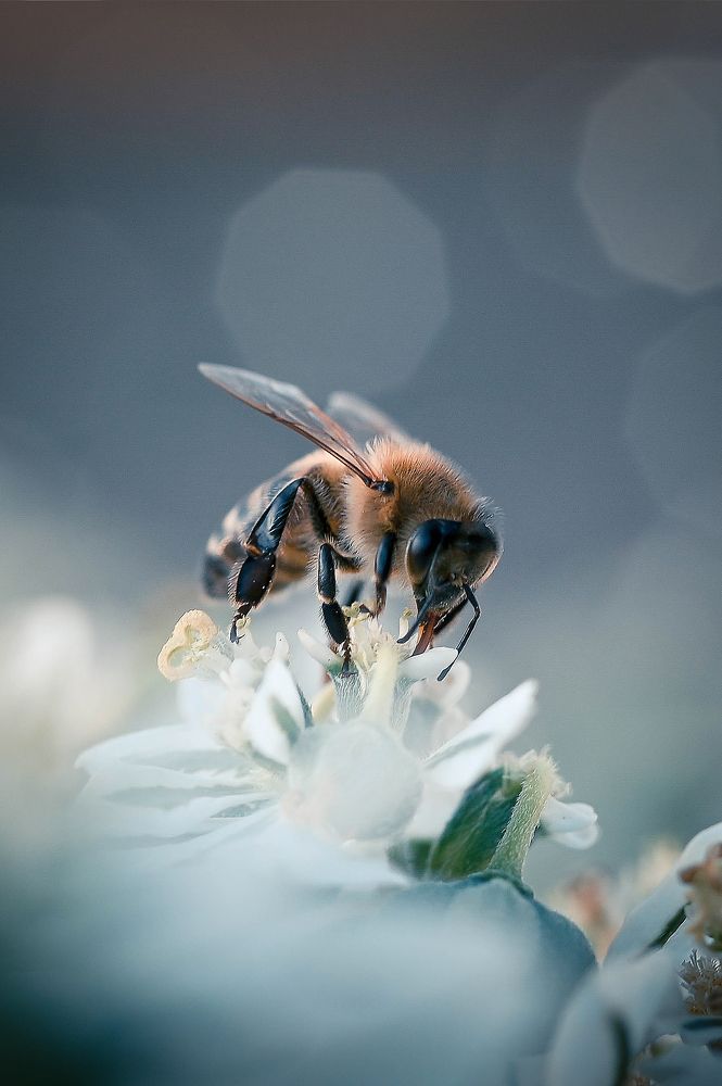 Photograph by Нели Арнаудова