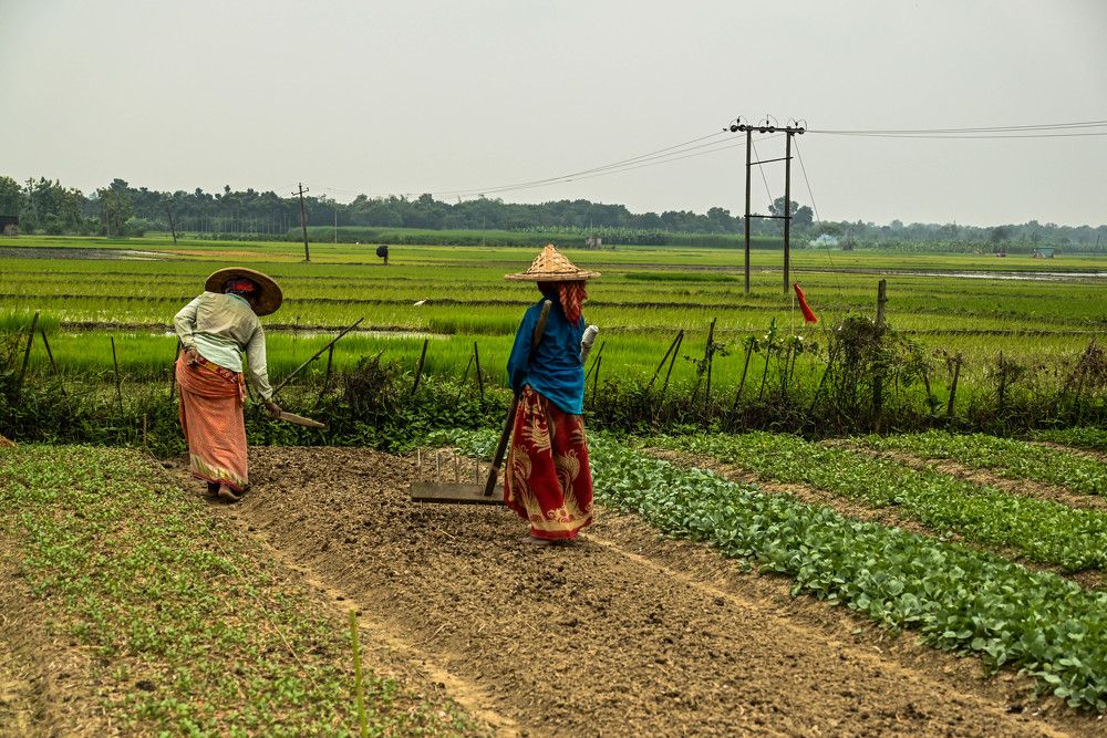 Фотография автора Sudeepto Munshi