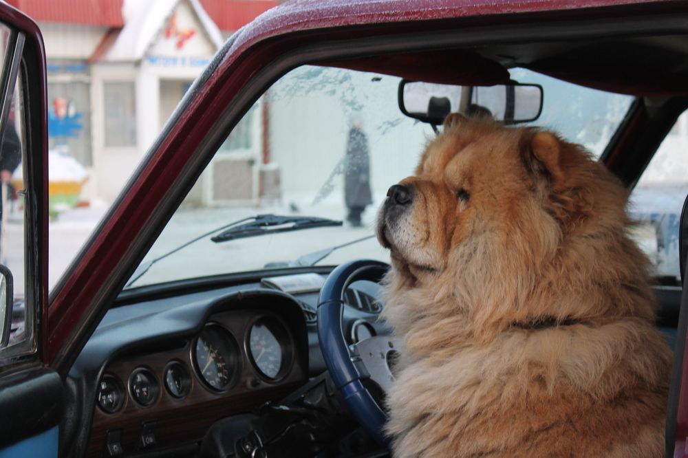 Photograph by Екатерина Хозяшева