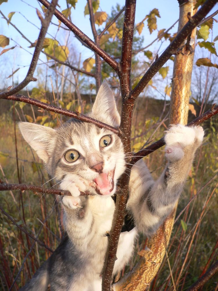 Photograph by Екатерина Хозяшева