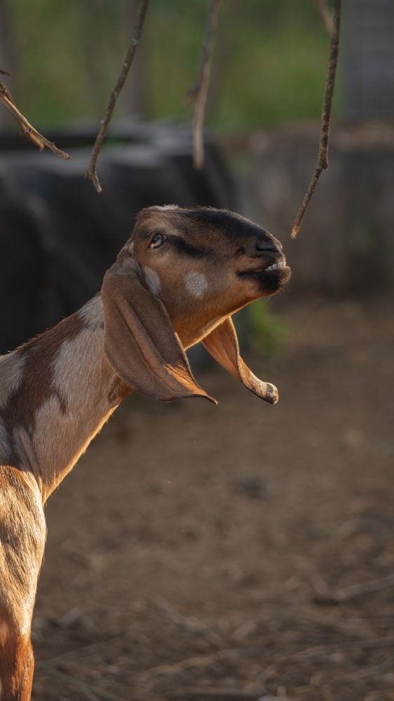 Photograph by Татьяна Рыбцева