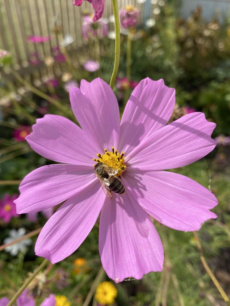 Photograph by Гузэль