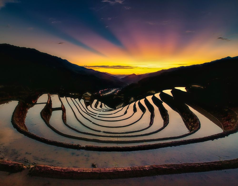 Photograph by Kevin Nguyen