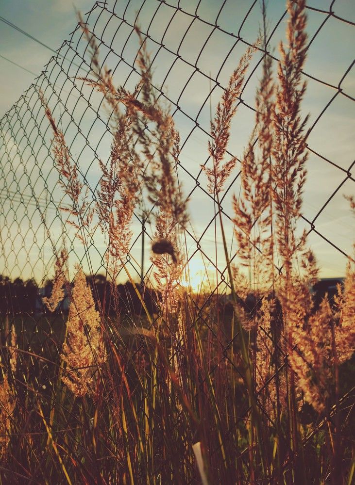 Photograph by Milana Bakina