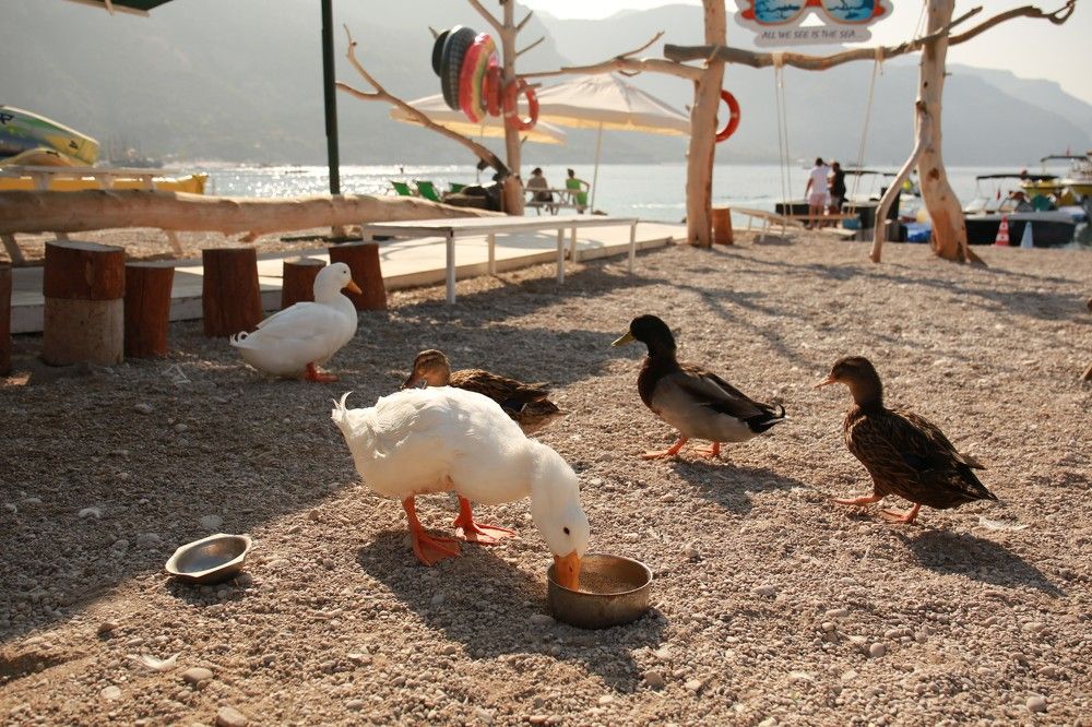 Photograph by Марина Юрченко