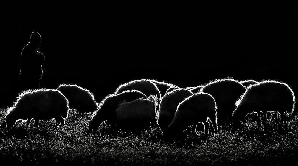 Photograph by Parviz Alilou