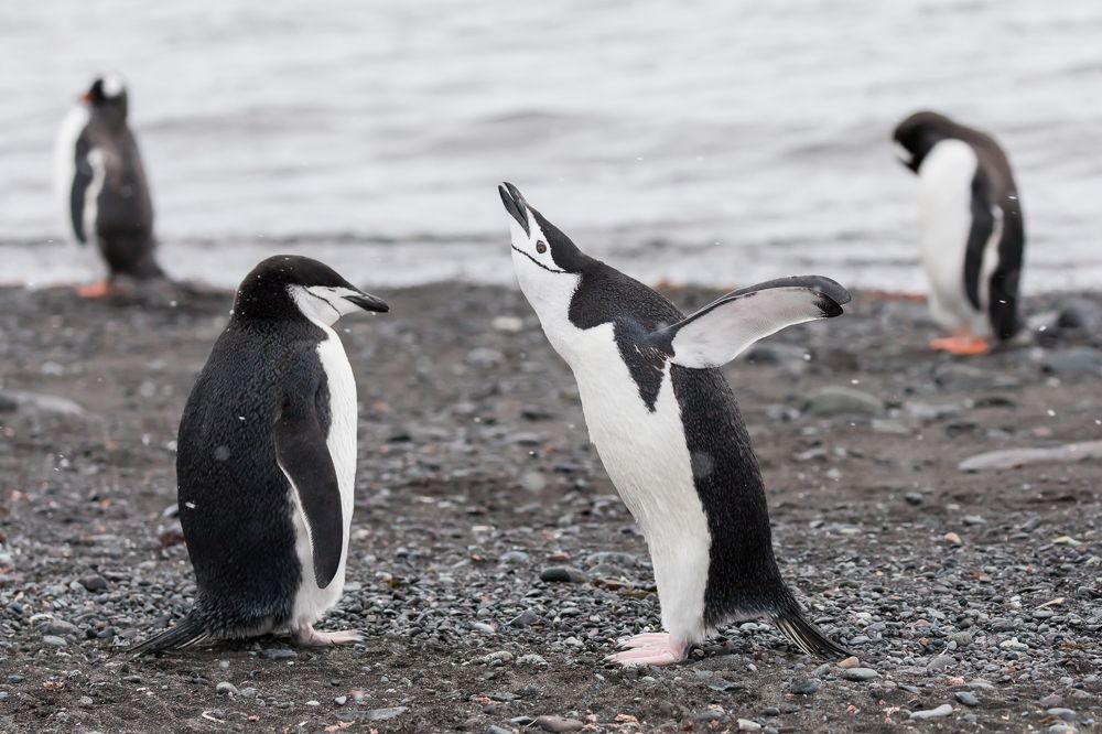 Photograph by Марина Маликова
