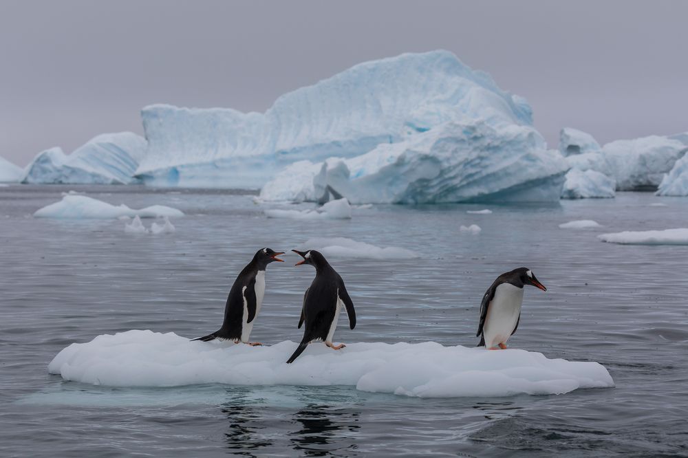 Photograph by Марина Маликова