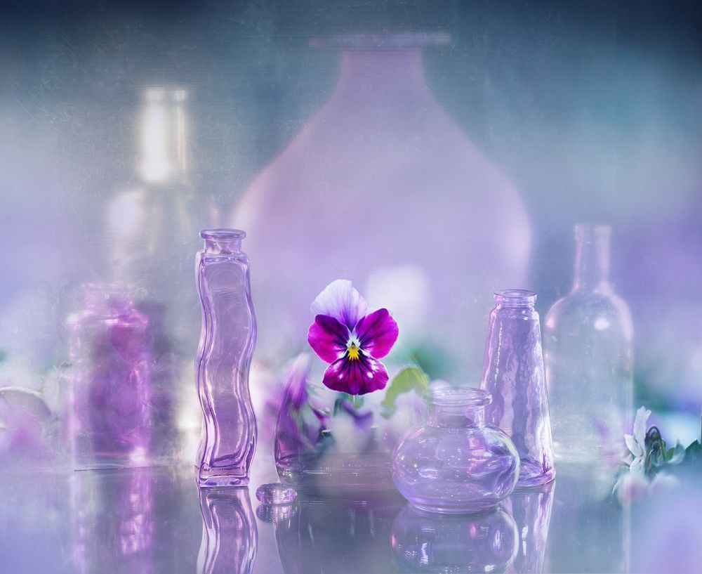 Photograph by NADEZHDA PELYMSKAIA