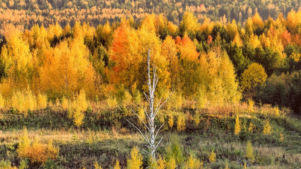 Photograph by Владимир