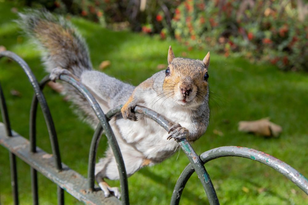 Photograph by Вадим Городницкий