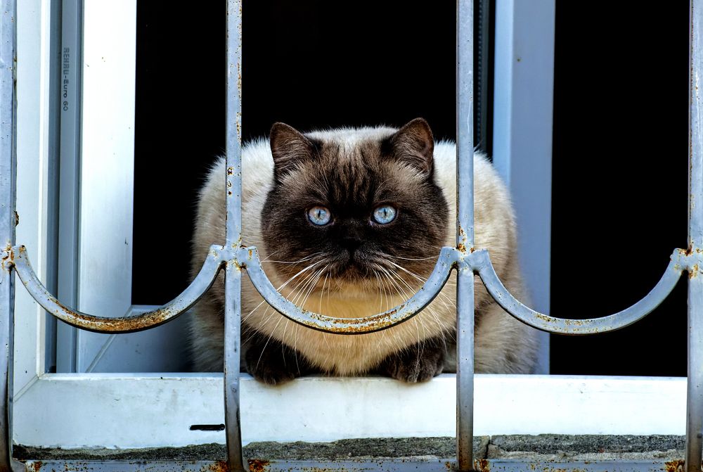 Photograph by Владимир