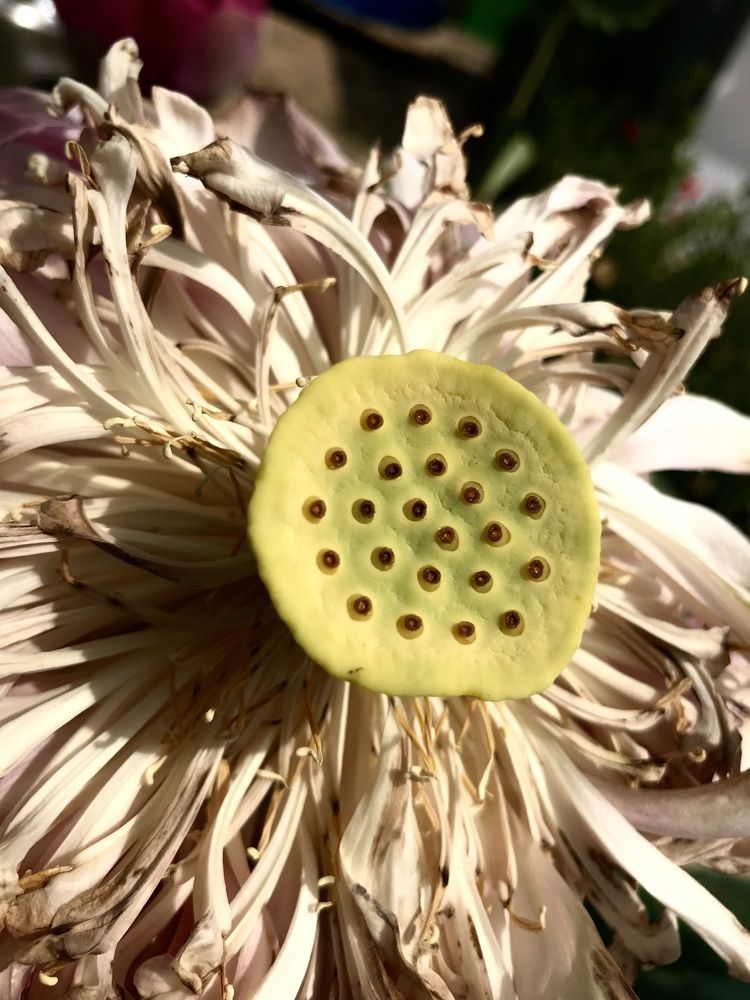 Photograph by Наталья Дмитриева