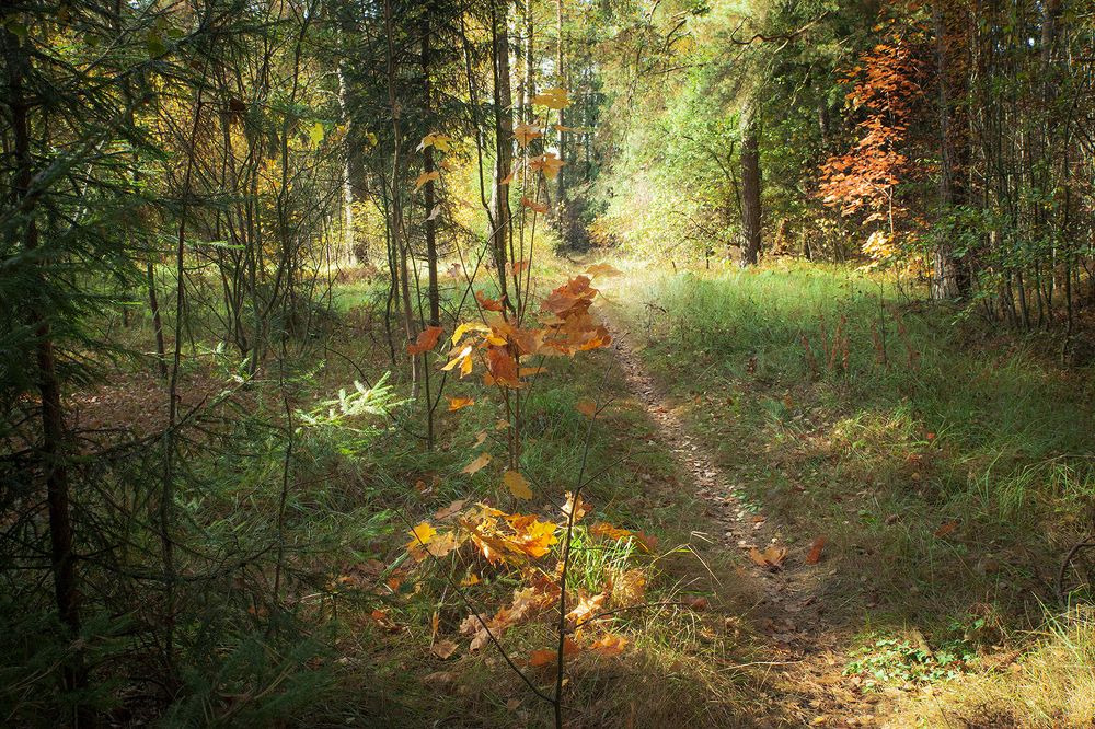 Photograph by Борис Назаров