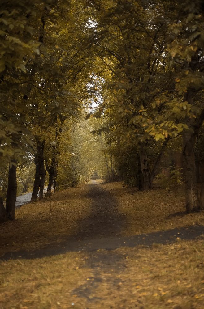Городские улочки