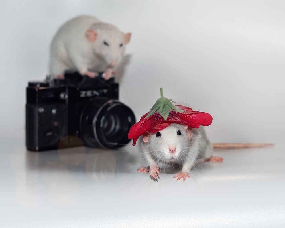 Photograph by Valentina Suvorova