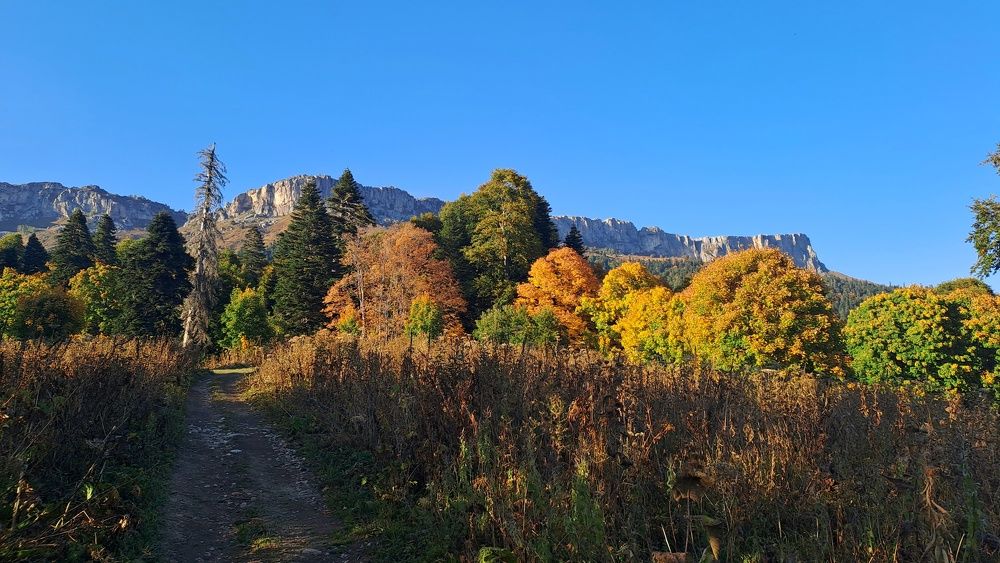 Photograph by Владимир Караман