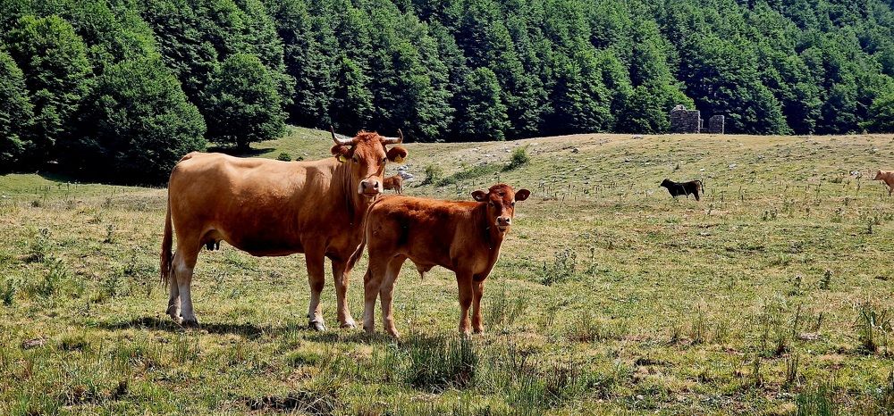 Photograph by Nadzeya