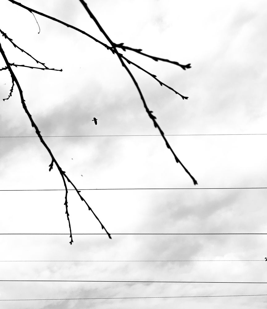 Photograph by Александр Сакович