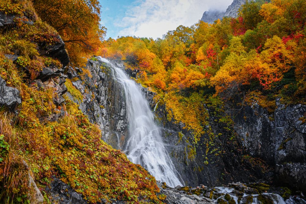 Photograph by Юлия Тарасенко