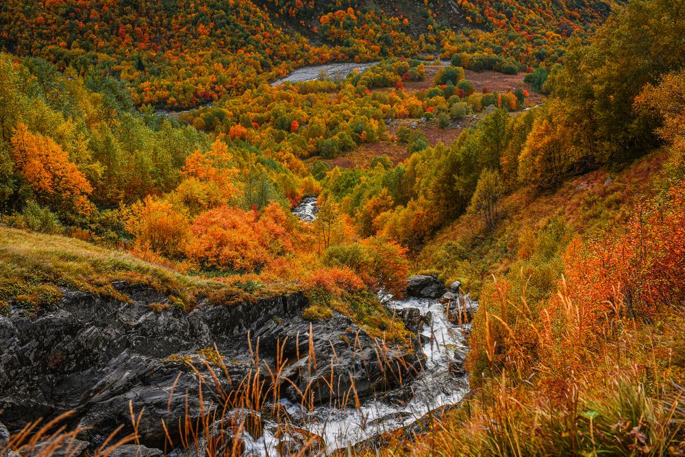 Photograph by Юлия Тарасенко