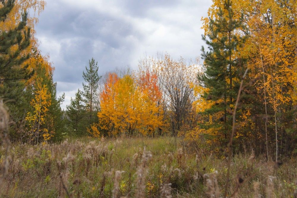 Photograph by Максим Фролов