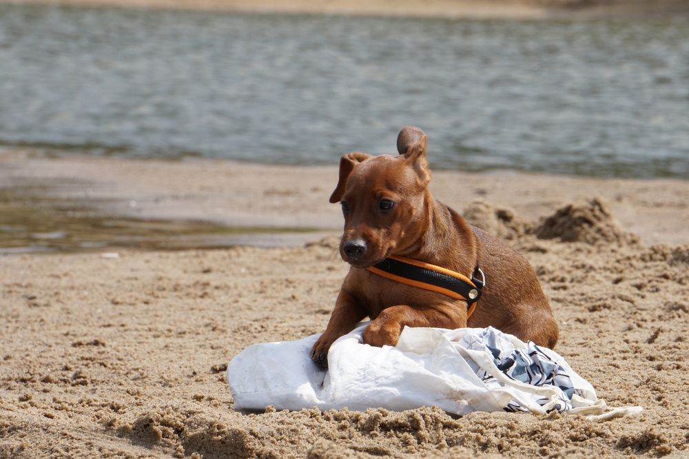 Photograph by Алфия Бугакова