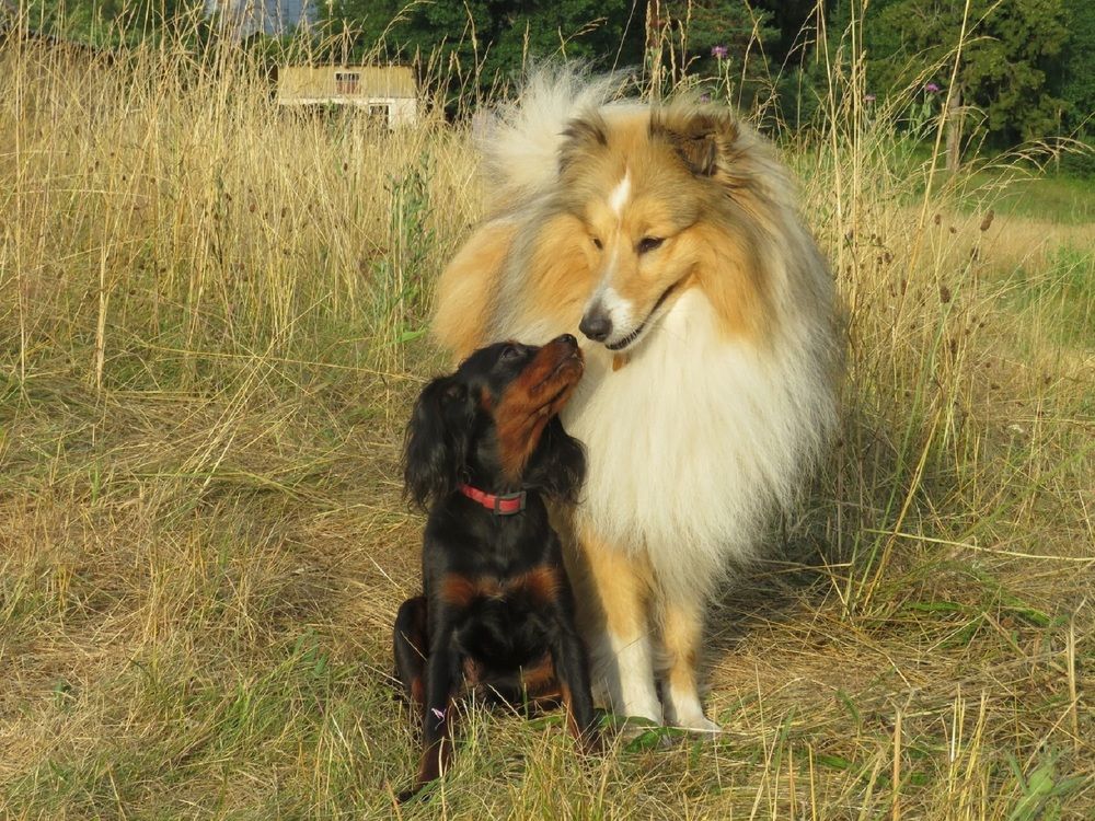 Ты будешь со мной дружить?