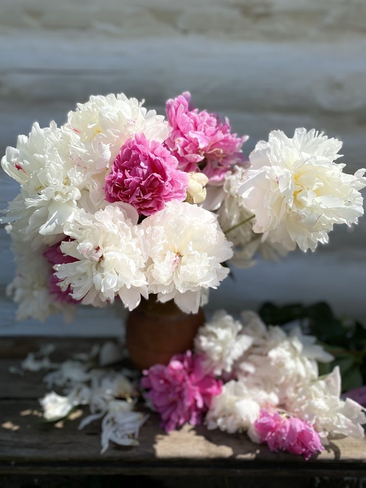 Photograph by Гузэль