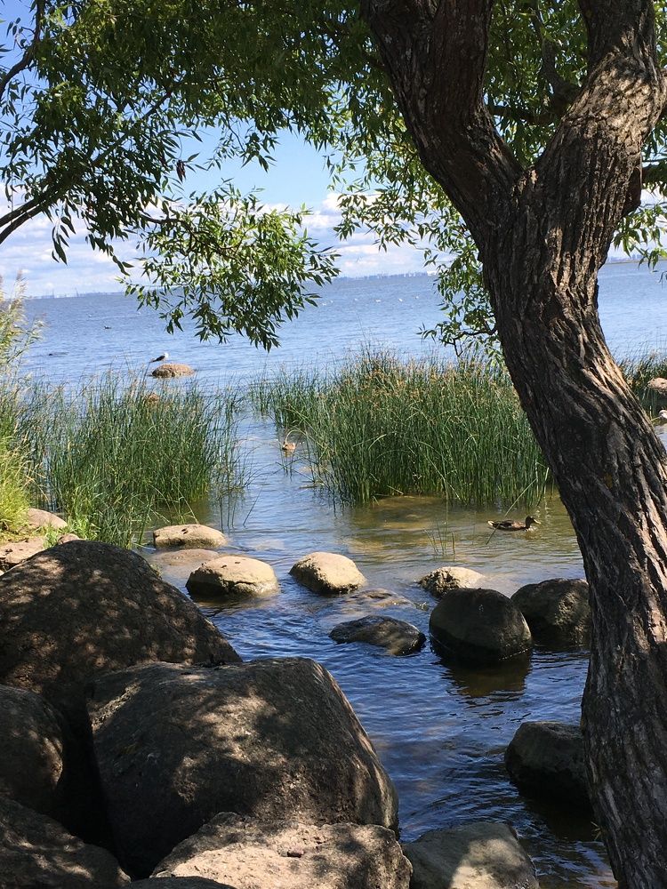 Photograph by Гузэль