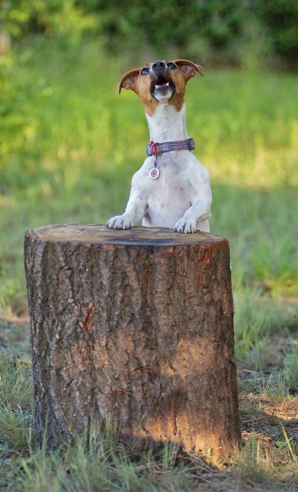 Photograph by Валерия Гарбуз