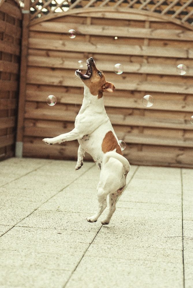 Photograph by Валерия Гарбуз