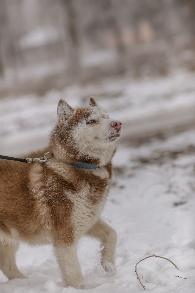 Photograph by  Мария