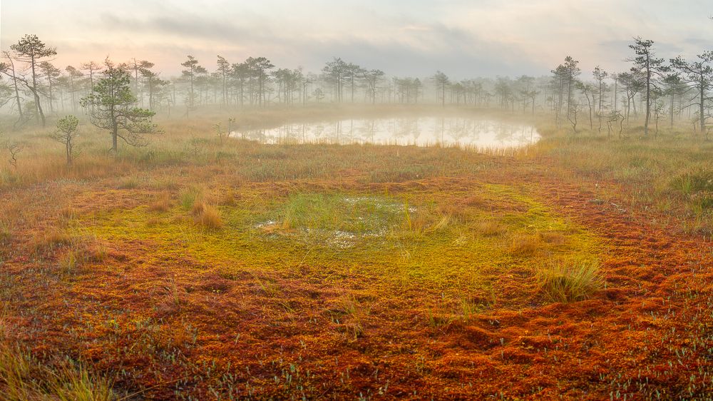 Photograph by Vera Komarova