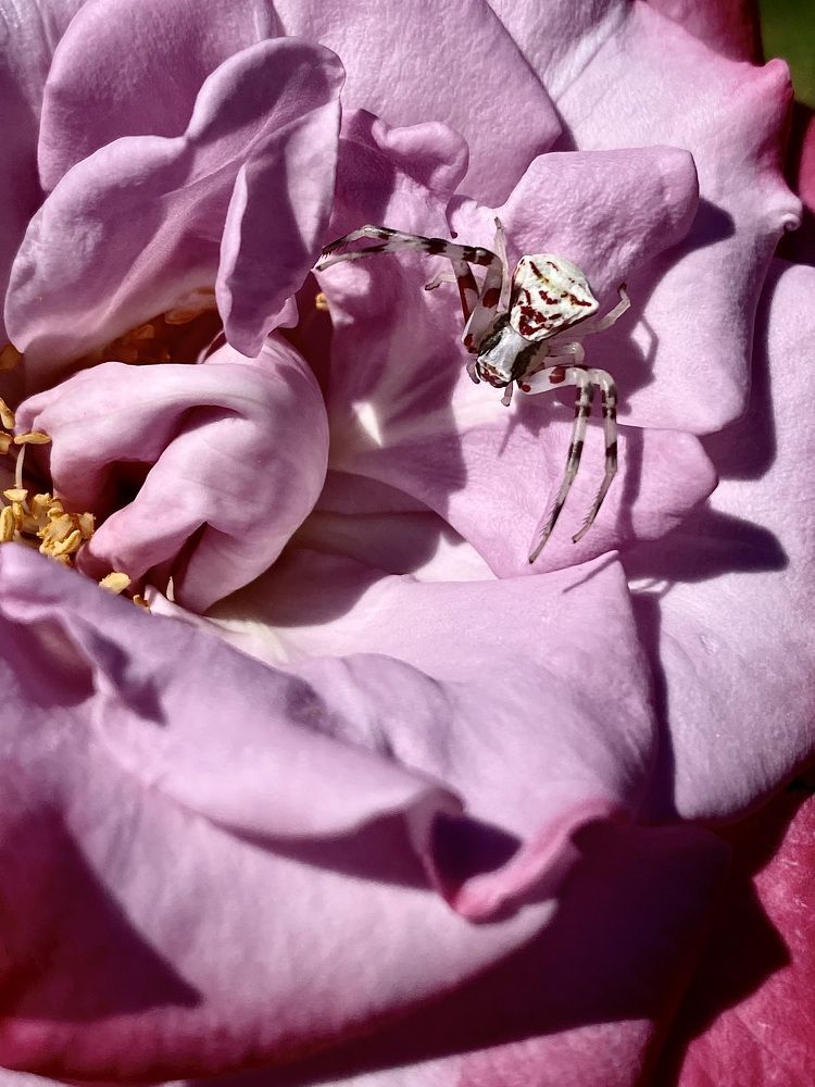 Photograph by Евгения Казакова