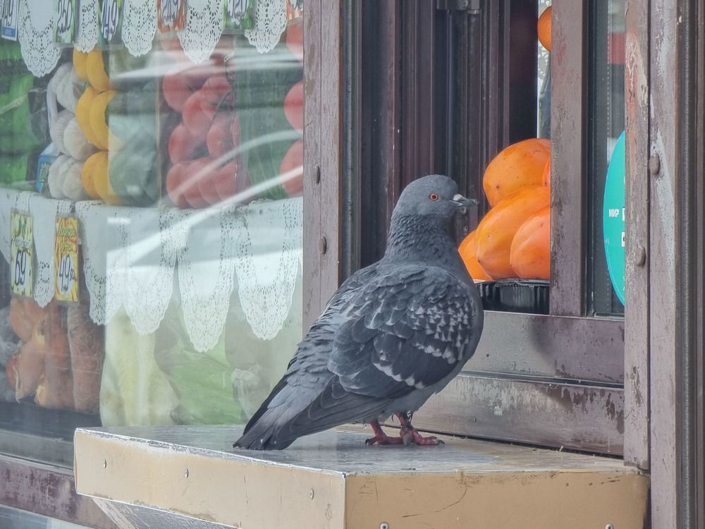 Photograph by Максим Фролов