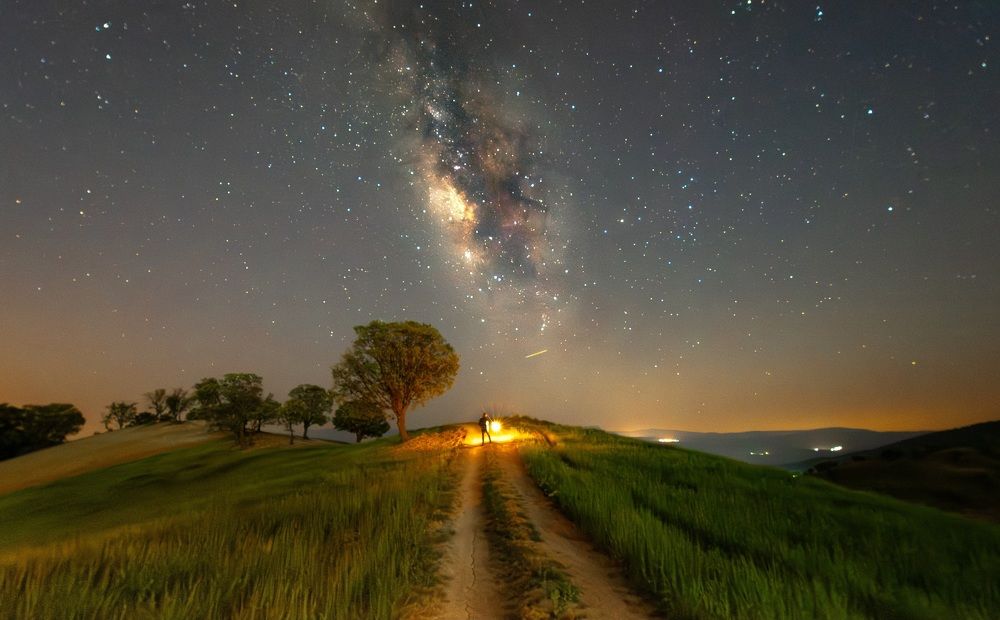 Photograph by mojtaba.