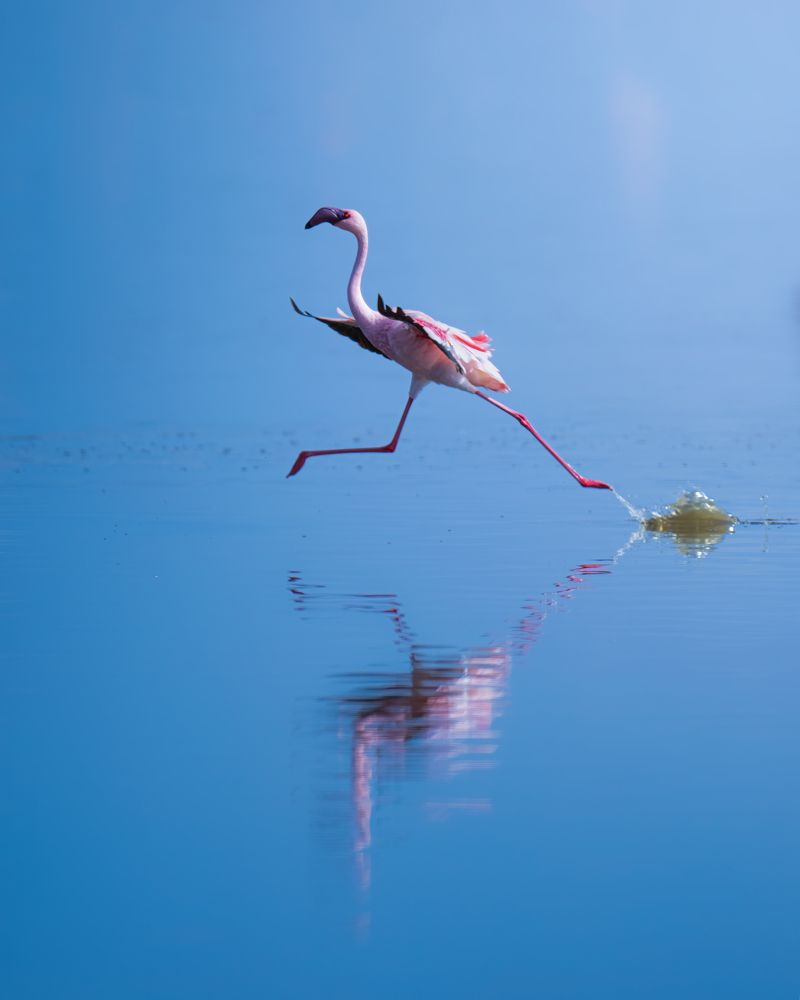 Photograph by Alexandra Surkova