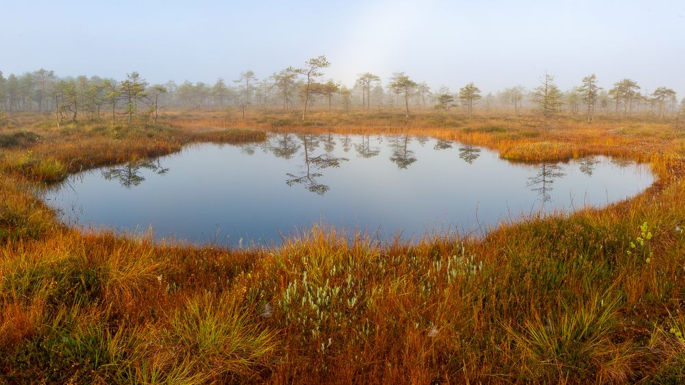 Photograph by Vera Komarova