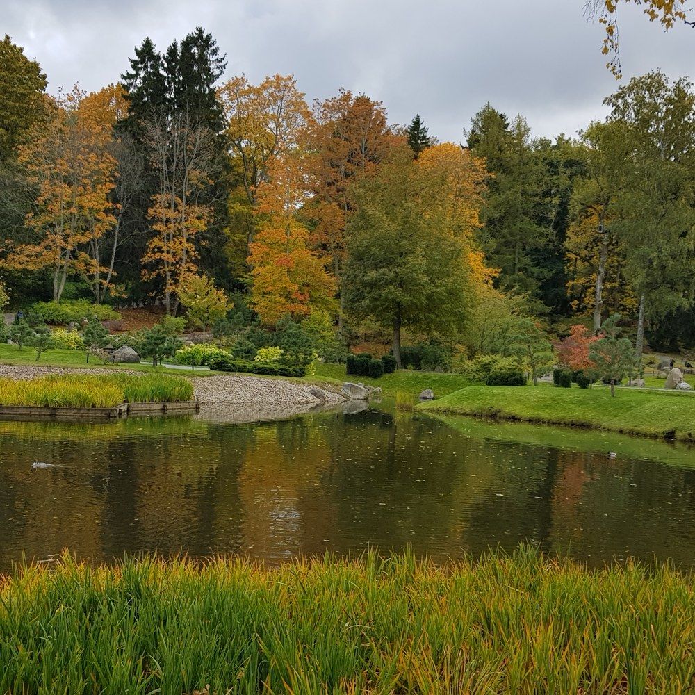 Photograph by Эдмунд Рандал