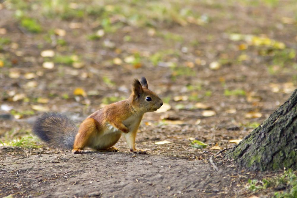 Photograph by Максим Фролов
