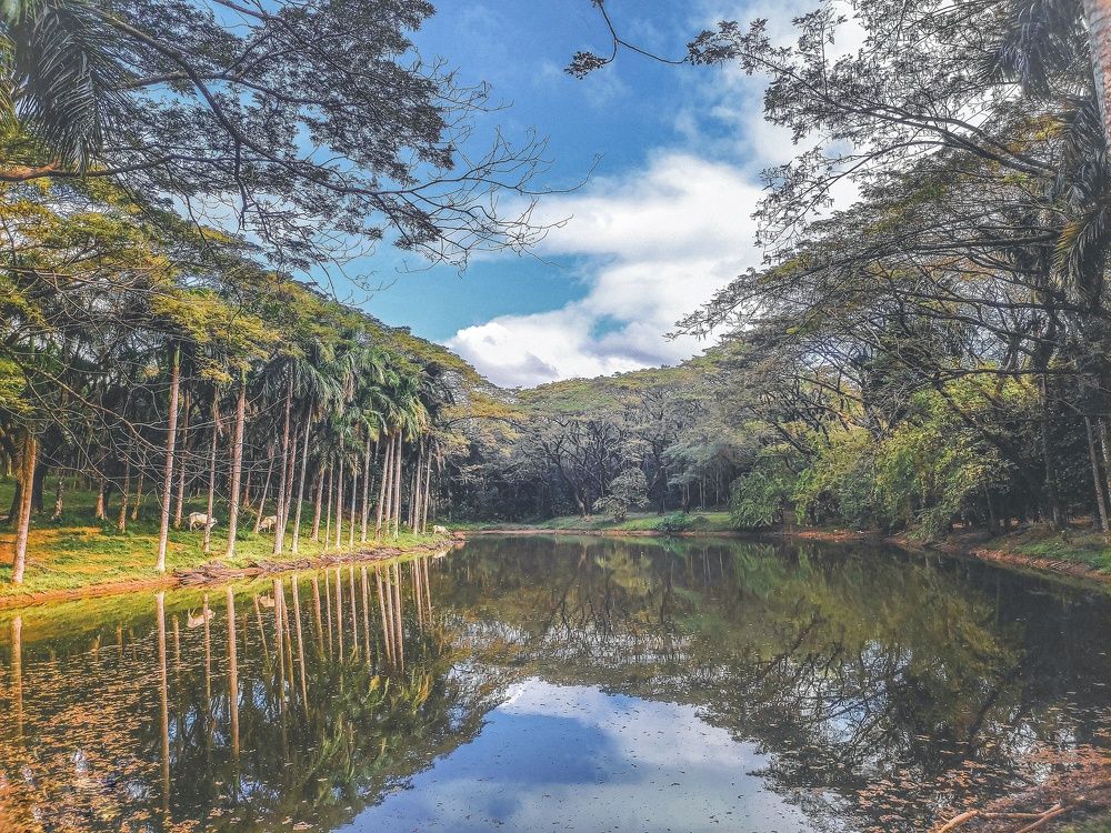 Photograph by Emmanuel Garcia